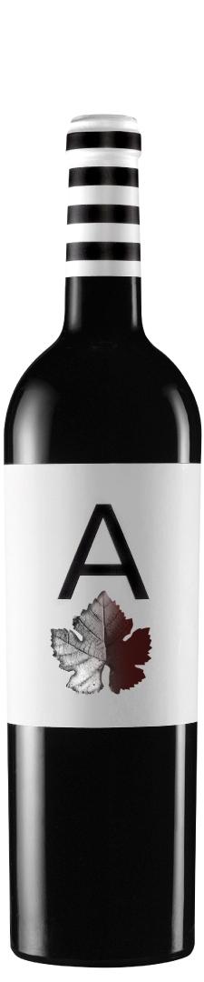 Bodegas Carchelo